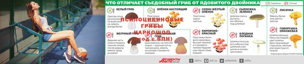 mdpv Белокуриха