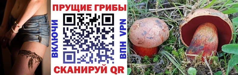 Псилоцибиновые грибы Magic Shrooms  Шумерля 